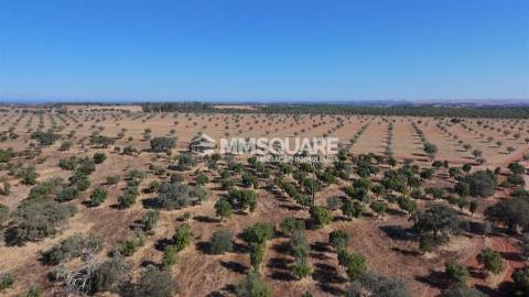 Herdade  Venda em Garvão e Santa Luzia,Ourique