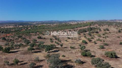Herdade  Venda em Garvão e Santa Luzia,Ourique