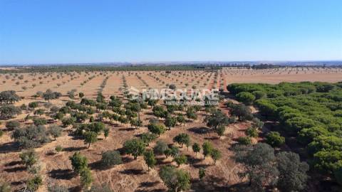 Herdade  Venda em Garvão e Santa Luzia,Ourique