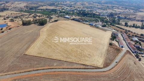 Prédio Rústico em Garvão