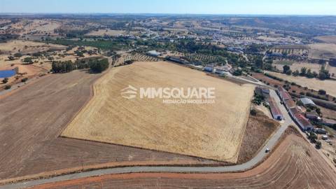 Prédio Rústico em Garvão
