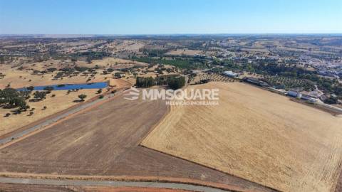Prédio Rústico em Garvão