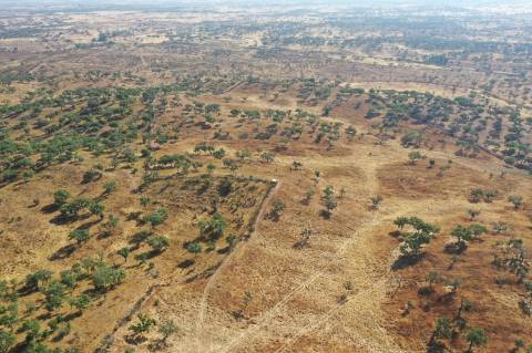 Moradia T4 Venda em Ourique,Ourique