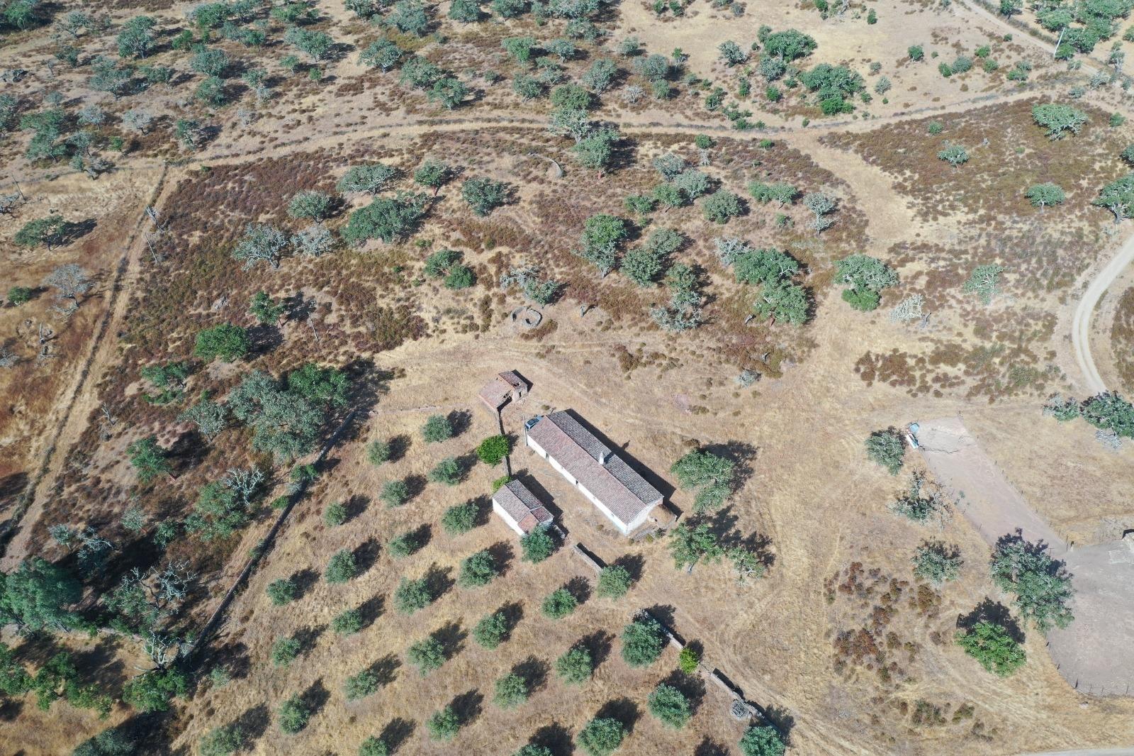 Moradia T4 Venda em Ourique,Ourique