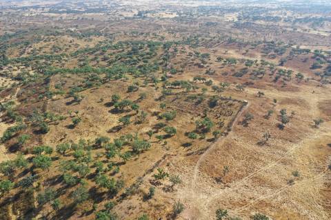 Moradia T4 Venda em Ourique,Ourique