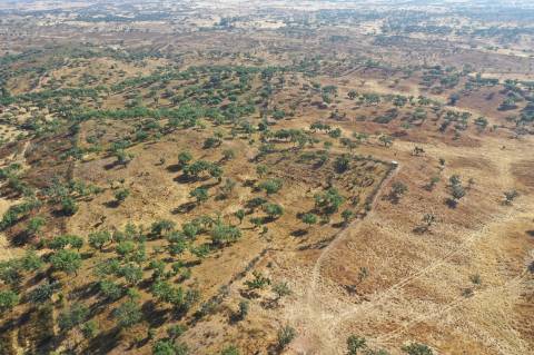 Moradia T4 Venda em Ourique,Ourique