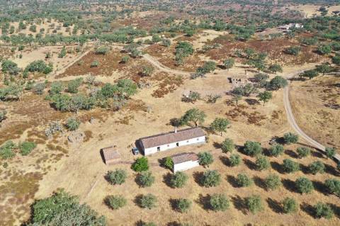 Moradia T4 Venda em Ourique,Ourique