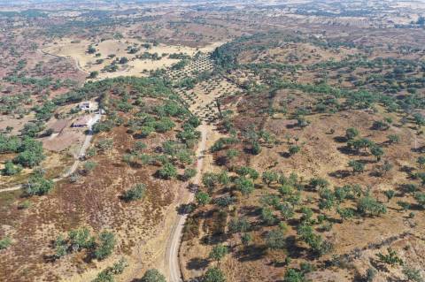Moradia T4 Venda em Ourique,Ourique