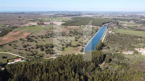 Terreno Para Construção T4 Venda em São Teotónio,Odemira