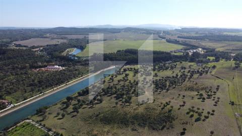 Terreno Para Construção T4 Venda em São Teotónio,Odemira