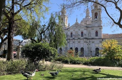Moradia para Restaurar T3+1 Venda em Campo de Ourique,Lisboa