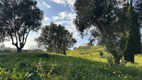 COOLNEST Oeira Golf - Viva com qualidade, pagando menos