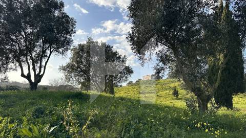 Apartamento T4 Venda em Barcarena,Oeiras