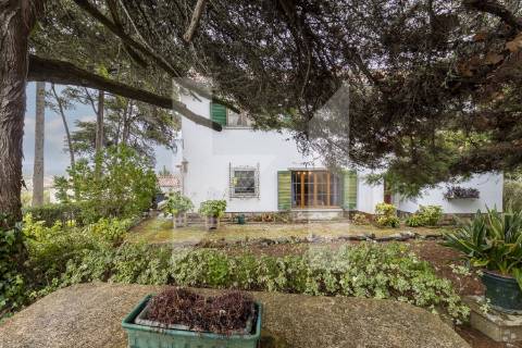 Quinta dos Arcos | Quinta Exclusiva em Sintra entre a Serra e o Atlântico