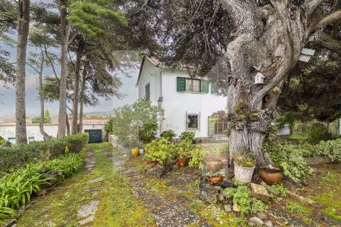 Quinta dos Arcos | Quinta Exclusiva em Sintra entre a Serra e o Atlântico