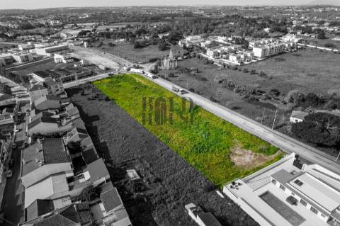 Terreno Urbano  Venda em Cartaxo e Vale da Pinta,Cartaxo