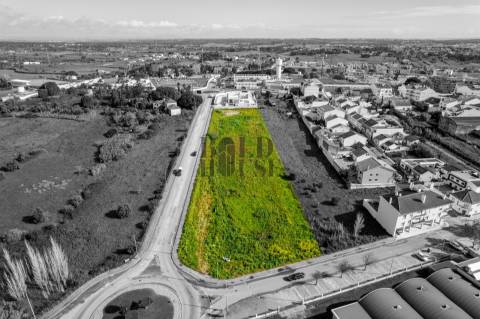 Terreno Urbano  Venda em Cartaxo e Vale da Pinta,Cartaxo