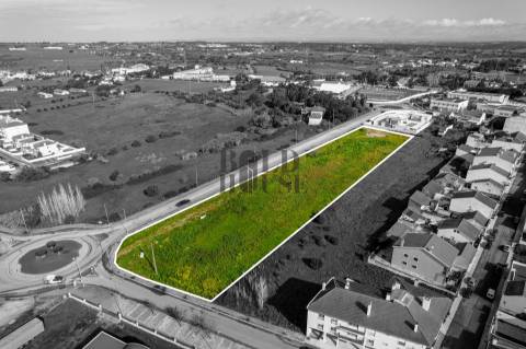Terreno Urbano  Venda em Cartaxo e Vale da Pinta,Cartaxo