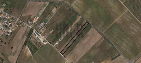 Terreno Rústico  Venda em Manique do Intendente, Vila Nova de São Pedro e Maçussa,Azambuja