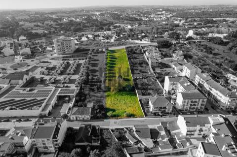 Terreno Para Construção  Venda em Cartaxo e Vale da Pinta,Cartaxo