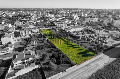 Terreno Para Construção  Venda em Cartaxo e Vale da Pinta,Cartaxo