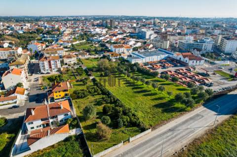 Terreno Para Construção  Venda em Cartaxo e Vale da Pinta,Cartaxo