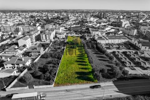 Terreno Para Construção  Venda em Cartaxo e Vale da Pinta,Cartaxo