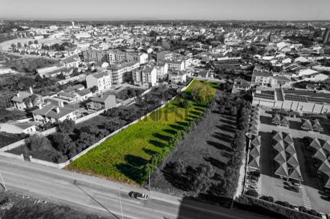 Terreno Para Construção  Venda em Cartaxo e Vale da Pinta,Cartaxo