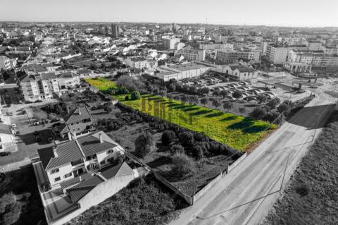 Terreno Para Construção  Venda em Cartaxo e Vale da Pinta,Cartaxo
