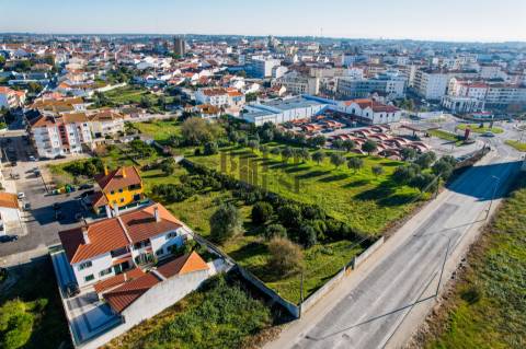 Terreno Para Construção  Venda em Cartaxo e Vale da Pinta,Cartaxo