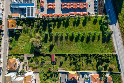 Terreno Para Construção  Venda em Cartaxo e Vale da Pinta,Cartaxo