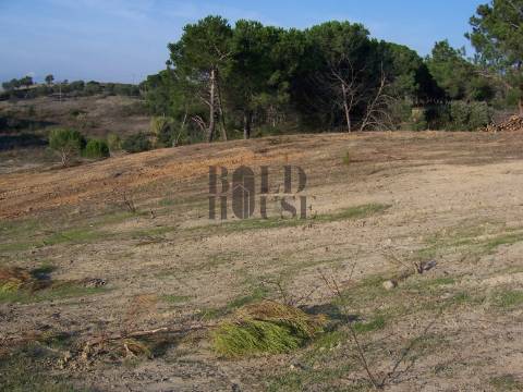 Terreno Rústico  Venda em Aveiras de Cima,Azambuja
