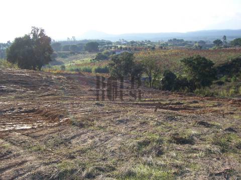 Terreno Rústico  Venda em Aveiras de Cima,Azambuja