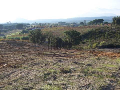 Terreno Rústico  Venda em Aveiras de Cima,Azambuja