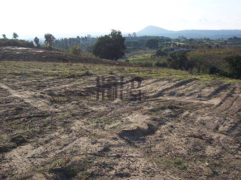 Terreno Rústico  Venda em Aveiras de Cima,Azambuja