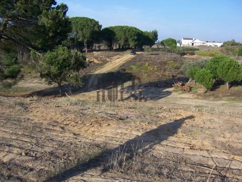 Terreno Rústico  Venda em Aveiras de Cima,Azambuja