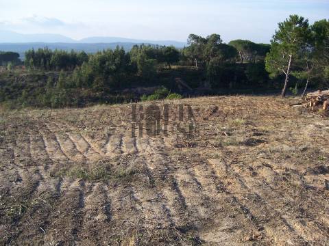 Terreno Rústico  Venda em Aveiras de Cima,Azambuja