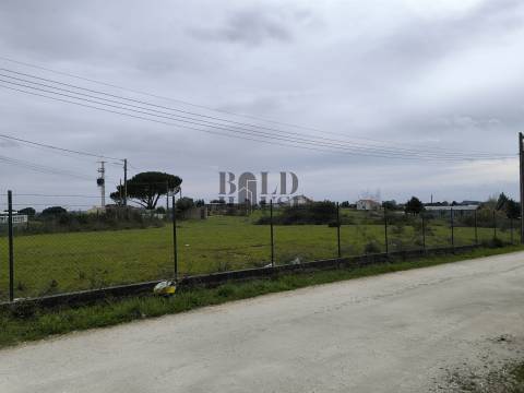 Terreno  Venda em Pontével,Cartaxo