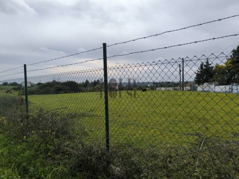 Terreno  Venda em Pontével,Cartaxo