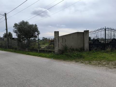 Terreno  Venda em Pontével,Cartaxo