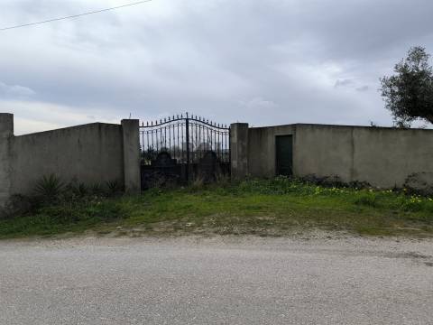 Terreno  Venda em Pontével,Cartaxo