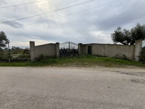 Terreno  Venda em Pontével,Cartaxo