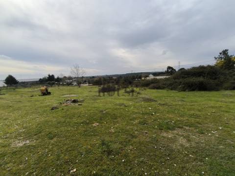 Terreno  Venda em Pontével,Cartaxo