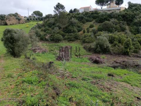 Terreno Rústico  Venda em Cartaxo e Vale da Pinta,Cartaxo