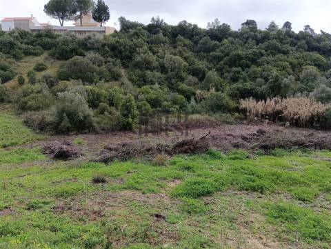 Terreno Rústico  Venda em Cartaxo e Vale da Pinta,Cartaxo