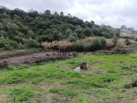 Terreno Rústico  Venda em Cartaxo e Vale da Pinta,Cartaxo