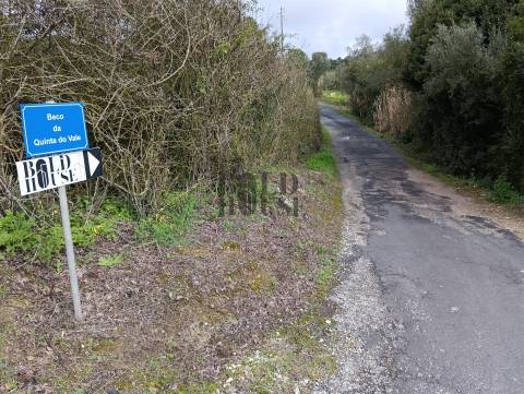 Terreno Rústico  Venda em Cartaxo e Vale da Pinta,Cartaxo