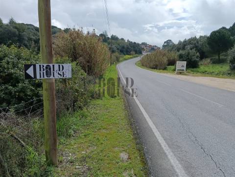 Terreno Rústico  Venda em Cartaxo e Vale da Pinta,Cartaxo