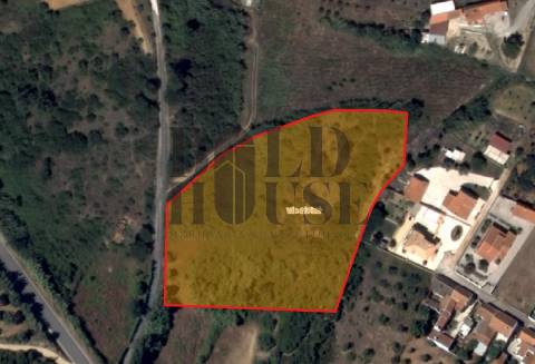 Terreno Rústico  Venda em Cartaxo e Vale da Pinta,Cartaxo