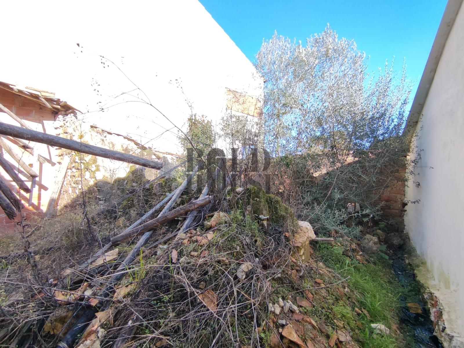 Moradia  Venda em Ereira e Lapa,Cartaxo